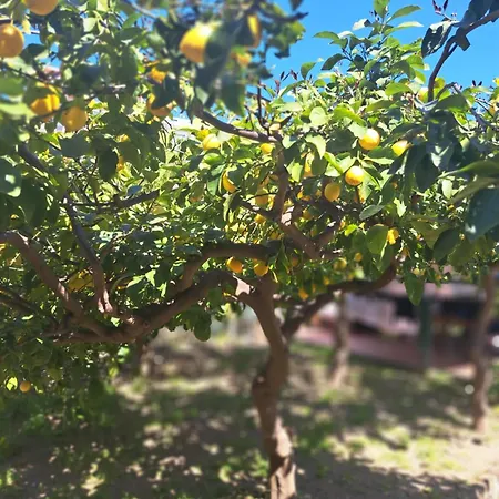 Casa de Férias Cav Marianna Monterosso al Mare