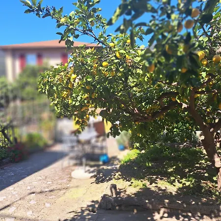 Marianna Home And Parking Feriehus *