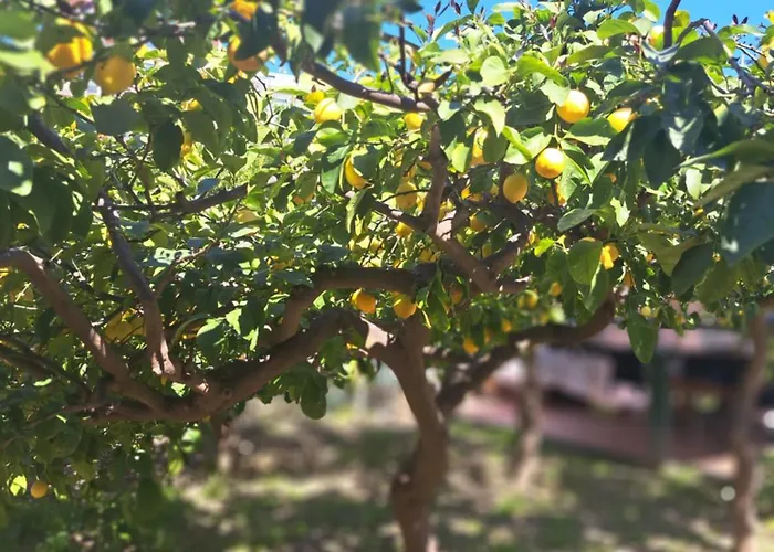 Feriehus Marianna Home And Parking Monterosso al Mare